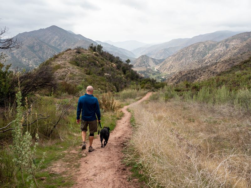 A man walking his dog on a trail next to mountains and grassy brush.