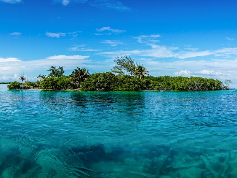 The tropical island of Caye Caulkner is seen from afar inside the tropical blue water with its lush, dense foliage. 
